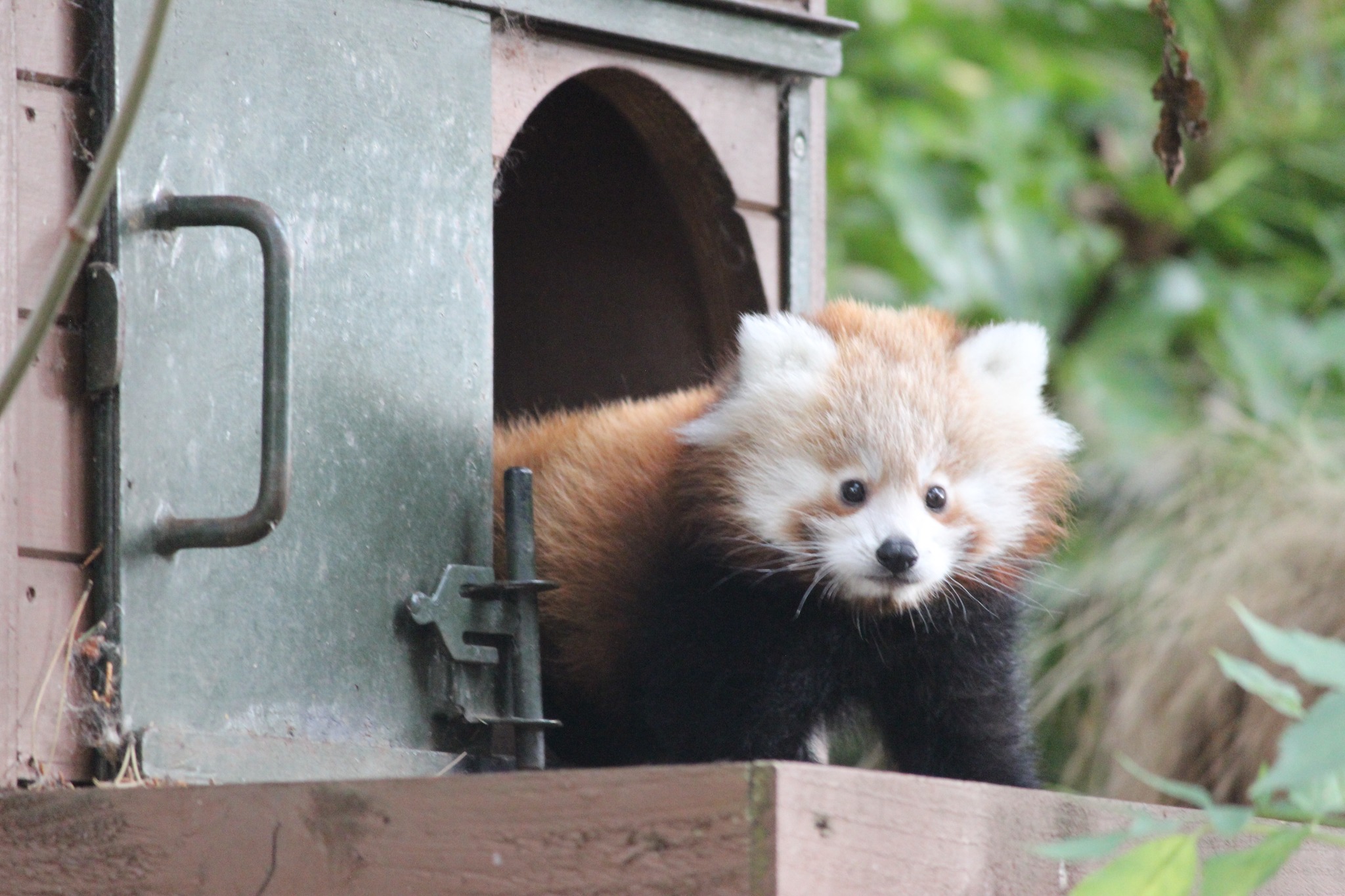 Edinburgh locals urged against Hogmanay fireworks after death of baby